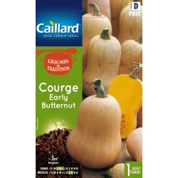 Graines Courge Butternut...