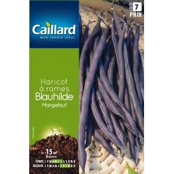 Graines Haricot À Rames...