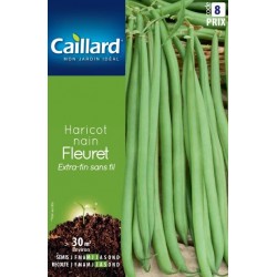 Graines Haricot Nain...