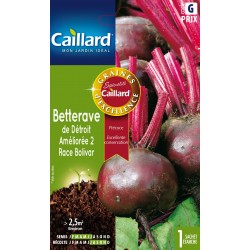 Graines Betterave De...