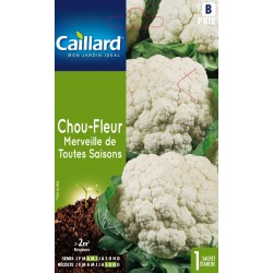 Graines Chou-Fleur...