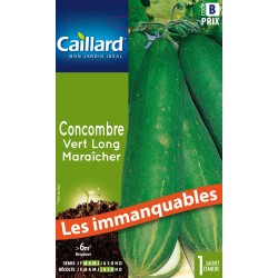 Graines Concombre Vert Long...