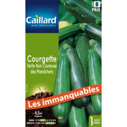 Graines Courgette Verte Non...