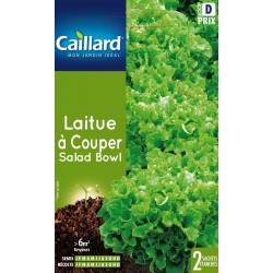 Graines Salade Laitue À...