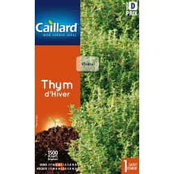 Graines Thym D'Hiver -CAILLARD