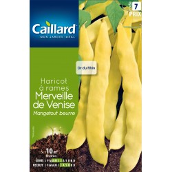 Graines Haricot Beurre À...