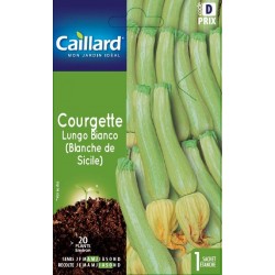 Graines Courgette Lungo...
