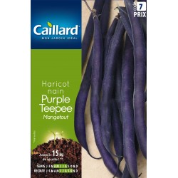 Graines Haricot Nain...