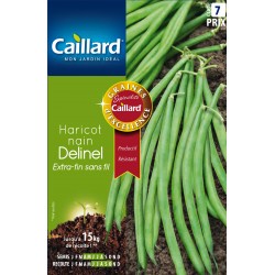 Graines Haricot Nain...