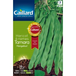 Graines Haricot À Rames...