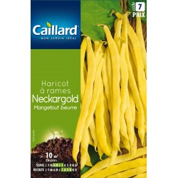 Graines Haricot Beurre À...