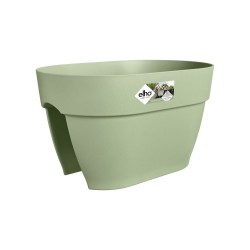 Pot Vibia campana flower...