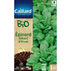Graines Epinard Geant...