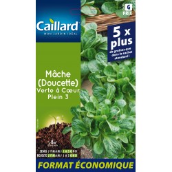 Graines Mache Verte À Coeur...