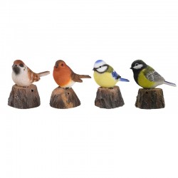 Oiseaux D'Acceuil -Vendu À...