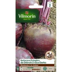 VILMORIN BETTERAVE Potagère...