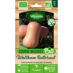 VILMORIN COURGE BIO Musquée...