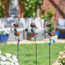 Barmy Fourmis FLAMBOYA....