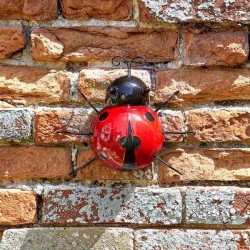 Deco murale Coccinelle L...