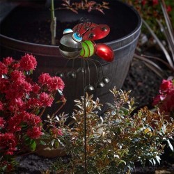 Pique Coccinelle LadyGlo...