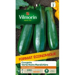 VILMORIN-COURGETTE Verte...
