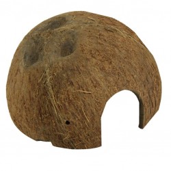 JBL Cocos Cava Demi coco Large