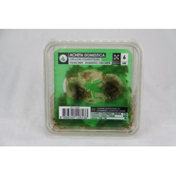 Nourriture vivante BOÎTE...