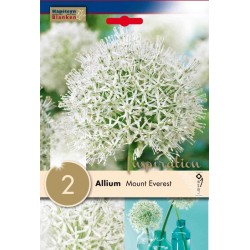 Bulbes d'allium mount...