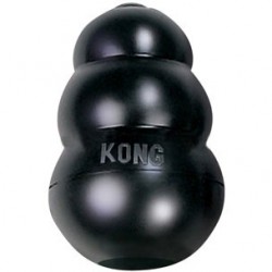 Jouet chien KONG EXTREME...
