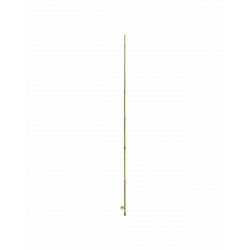 BAMBOO Tuteur bambou...