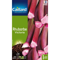 Graines Rhubarbe Victoria...