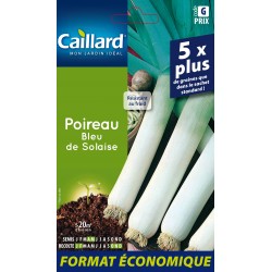 Graines Poireau Bleu De...