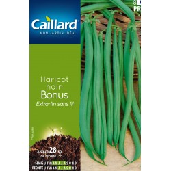 Graines Haricot Nain...