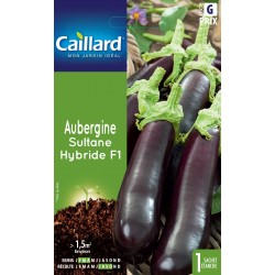 Graines Aubergine Sultane...