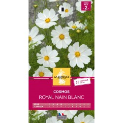 Graines Cosmos Royal Nain...