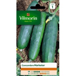 VILMORIN CONCOMBRE Marketer...