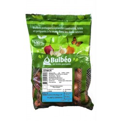 BULBÉO Échalote Longue...