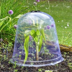 Cloche Jumbo Bell GROZONE
