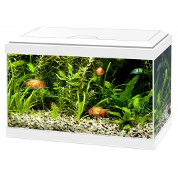 Aquarium AQUA 20 LED Blanc...