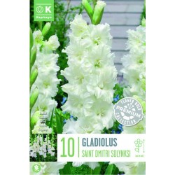KAPITEYN PREMIUM-Gladiolus...