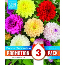 KAPITEYN PROMOTION...