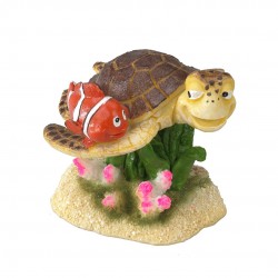 POISSON CLOWN + TORTUE AQUA...