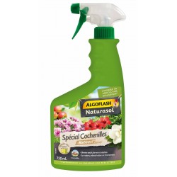 Insecticide Special...