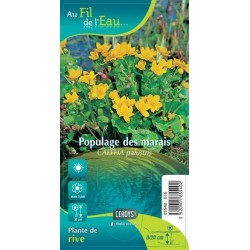 CALTHA palustris G9 AU FIL...