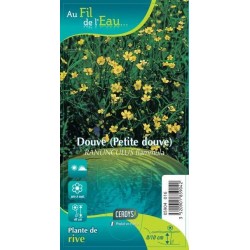 RANUNCULUS flammula jaune...
