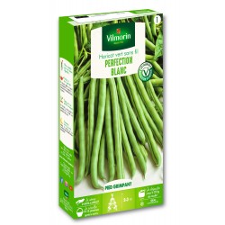 VILMORIN HARICOT Grimpant...