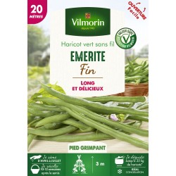 VILMORIN HARICOT Grimpant...