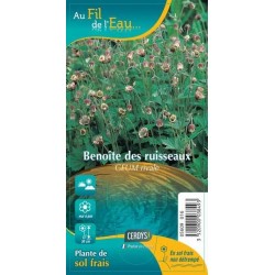 GEUM rivale G9 AU FIL DE L'EAU