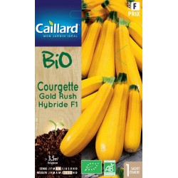 Graines Courgette Gold Rush...