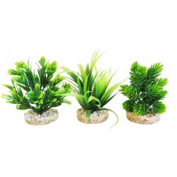 Décor aqua MAGIC AQUA...